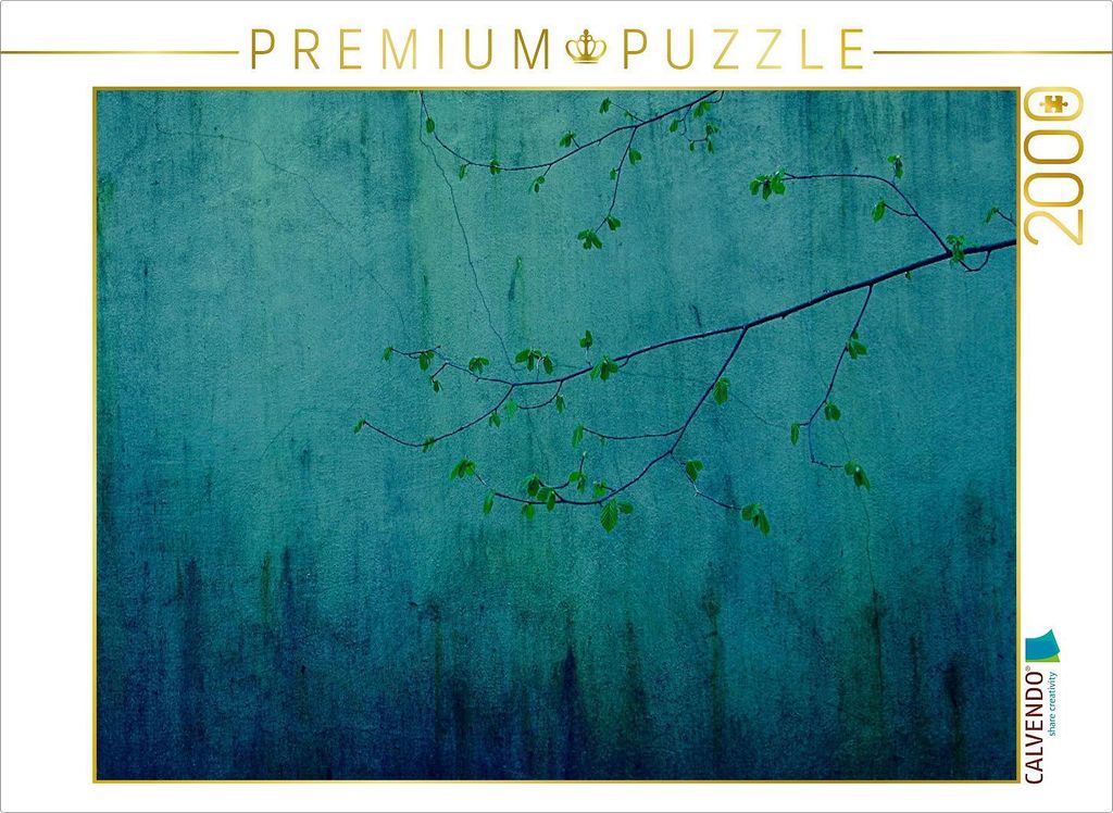 CALVENDO Puzzle Ein Motiv aus dem Kalender Mauerblümchen - Poesie im Alltäglichen 2000 Teile Puzzle quer | 2000 Teile Lege-Größe 90x67cm Foto-P...