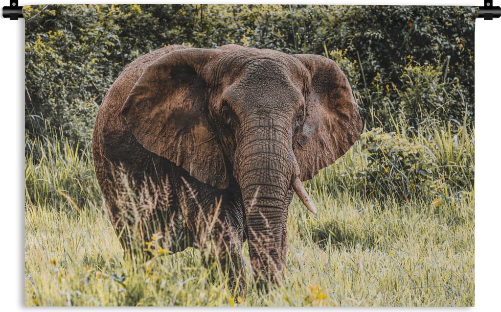 MuchoWow Wandteppich Wandbehang Elefant - Natur - Gras 90x60 cm Tapisserie Dekoration Wandtuch - Wandskulpturen - Bildteppich