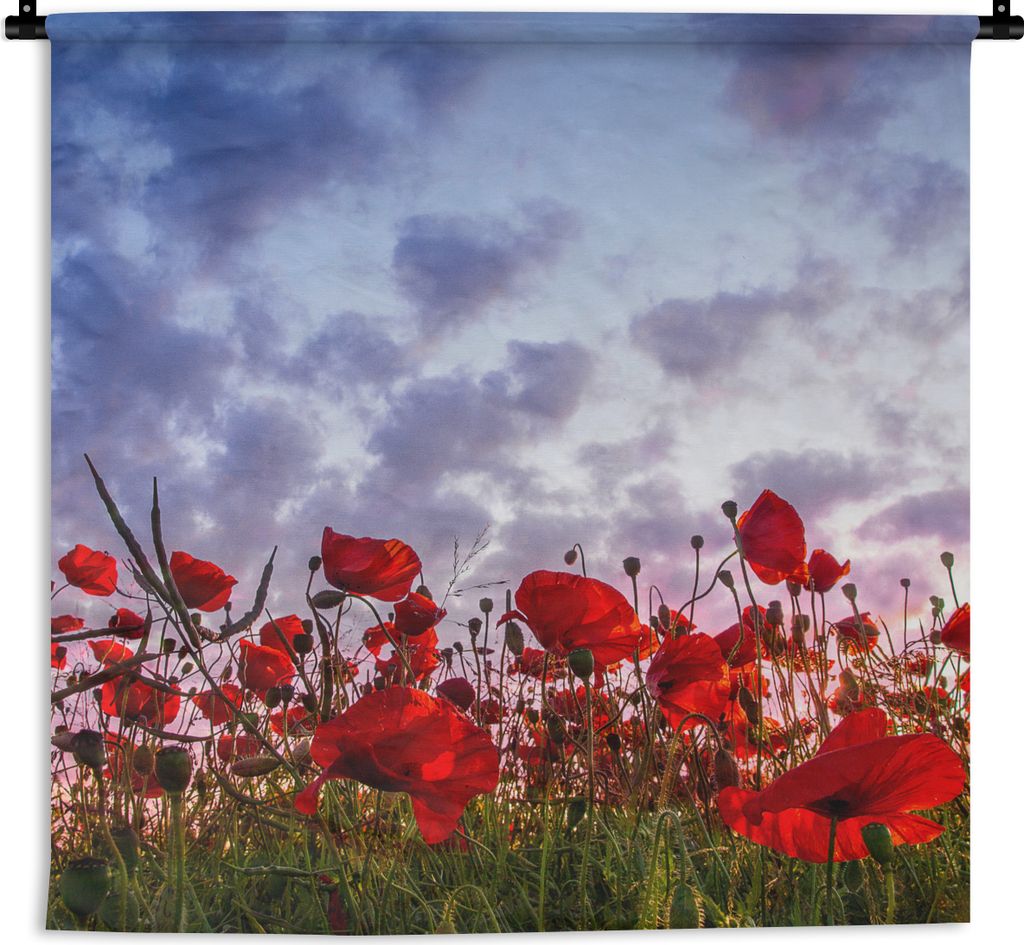 MuchoWow Wandteppich Wandbehang Panorama eines farbenfrohen Mohnblumenfeldes 60x60 cm Tapisserie Dekoration Wandtuch - Dekorationen - Wand Decke