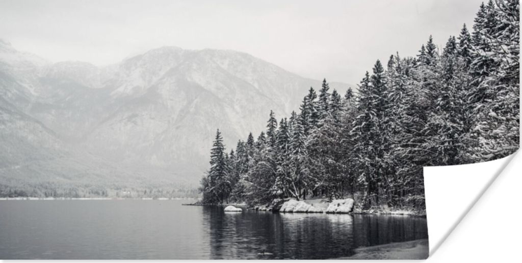 MuchoWow Poster Wasser - Winter - Natur - Kiefernbaum 40x20 cm - Poster für die Wand - Poster Schlafzimmer