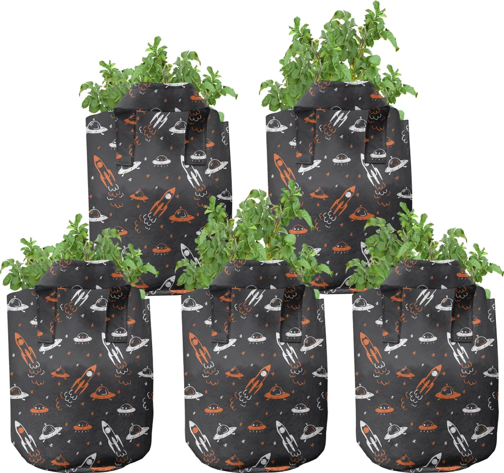 Pots en Tissu Haute Performance Cosmos 5 Gallons avec Poignées Robustes