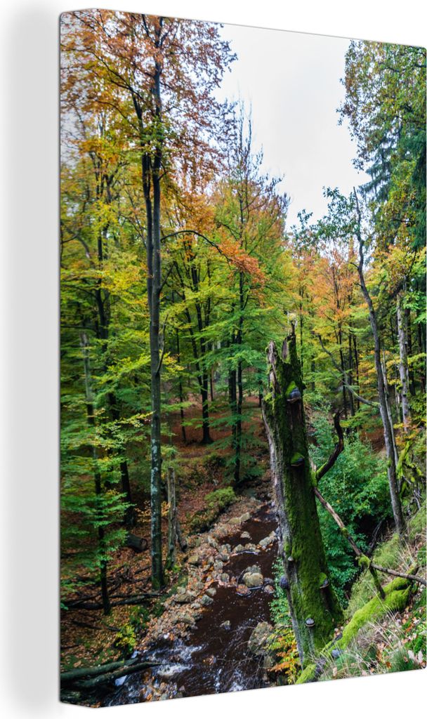 OneMillionCanvasses - Leinwandbilder - 90x140 cm, Fluss fließt durch den Wald in den Ardennen, Wandbilder Kunstdruck Wanddekoration - Wandschmuc...