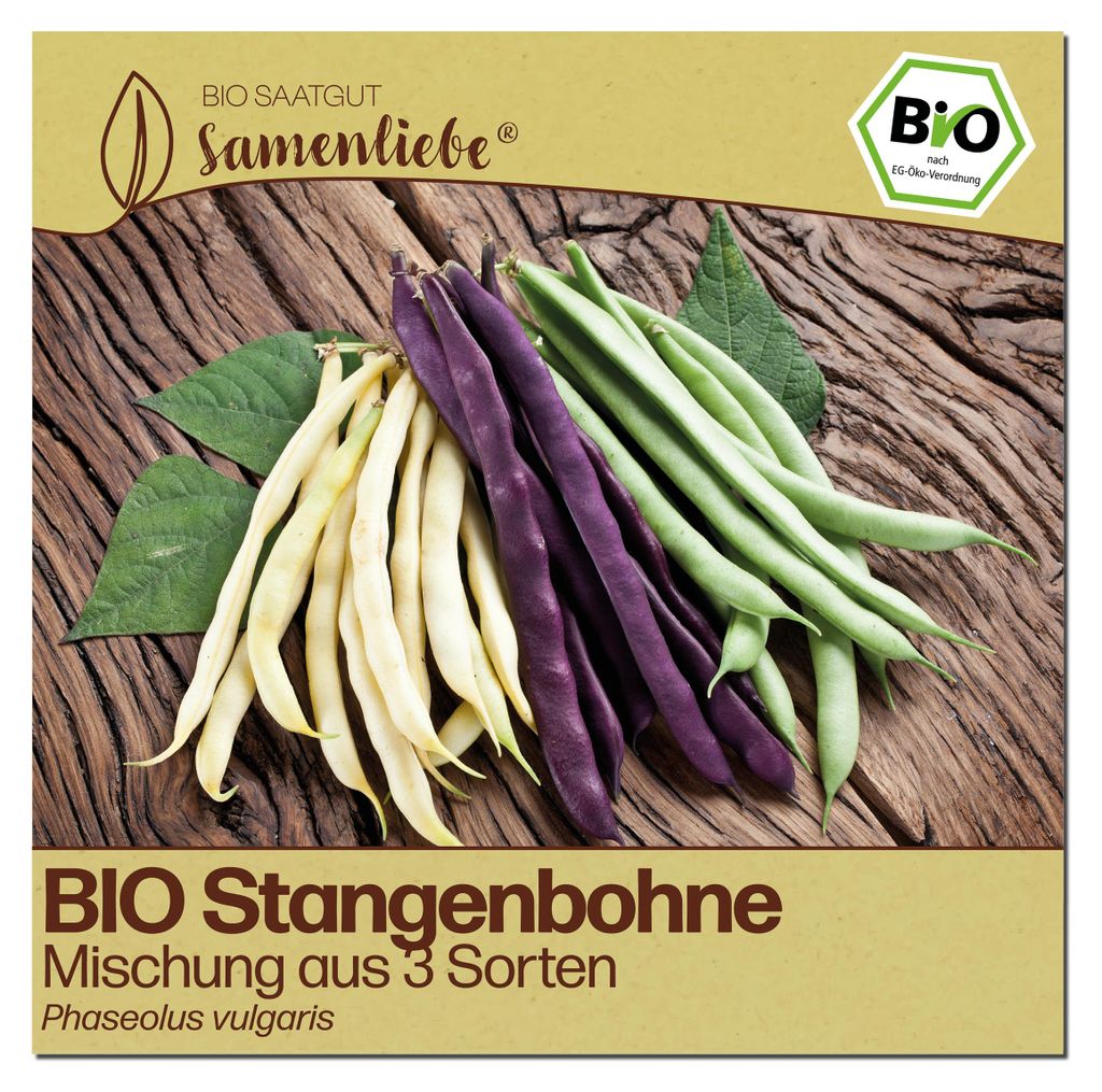 Samenliebe  Bohne Samen | Mischung aus 3 Sorten - bunt - Produktbild 