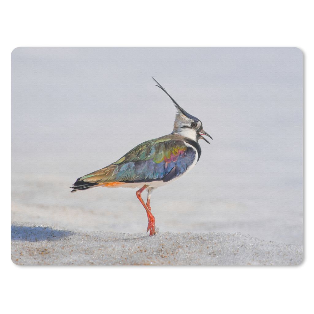 MuchoWow Mauspad Mousepad Vogel - Tiere - Sand - Kiebitz 40x30 cm - Mousepads - Maus Mat - Pad - Mausunterlage - Anti Rutsch