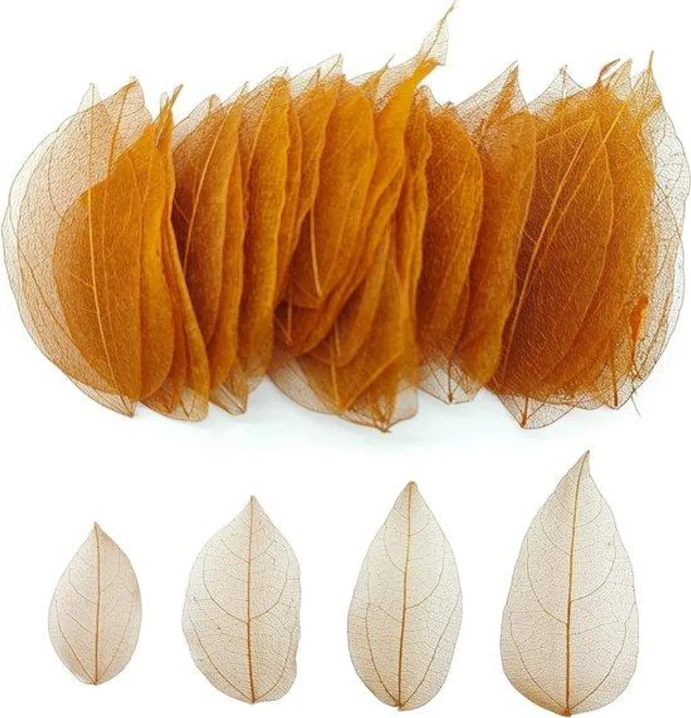 Feuilles séchées naturelles pour DIY - Lot de 100 pièces marron vintage