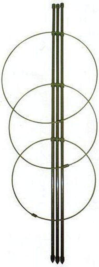 Bradas kruhová podpěra rostlin 120cm Obrázek produktu 3