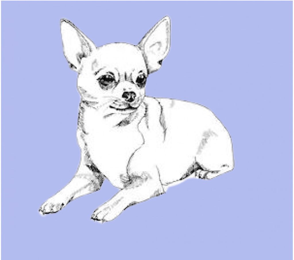 Vet Bed Silouet Chihuahua blau-weiß 100 x 75 cm