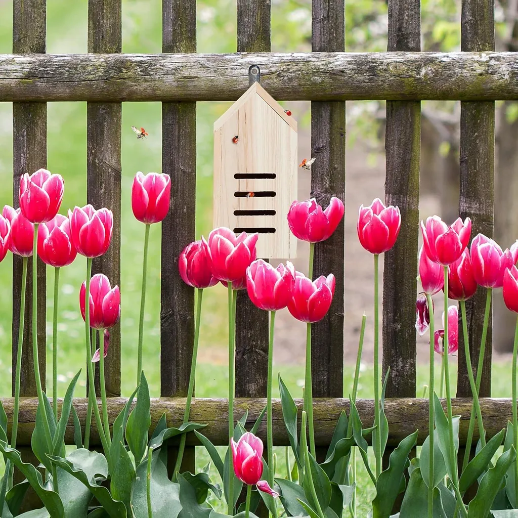 Abri pour insectes suspendu en bois brut naturel - Décoration Jardin