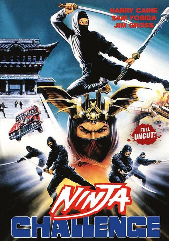 Ninja Challenge (1986) UNCUT DVD Produktbild 
