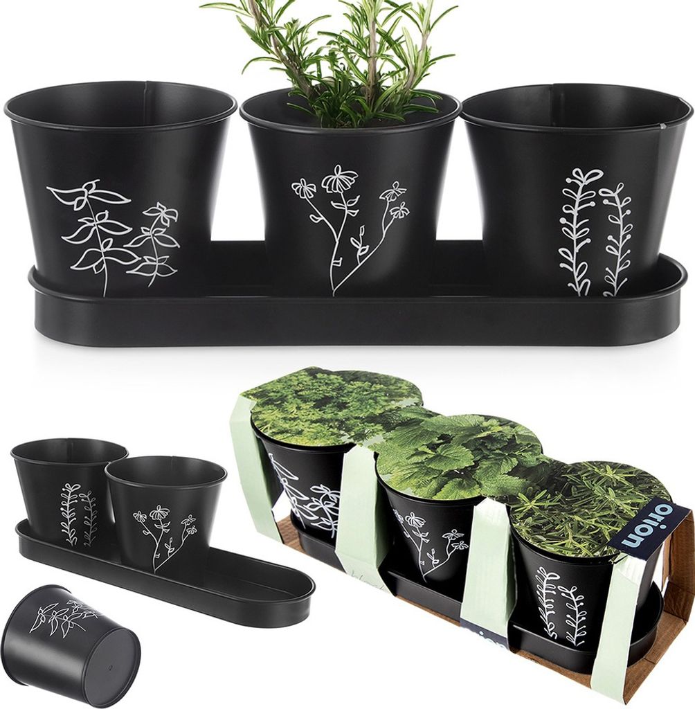 Orion Kräutertopf Kräuterpflanztopf Blumentopf mit Untersetzer BLACKLINE 4-tlg.