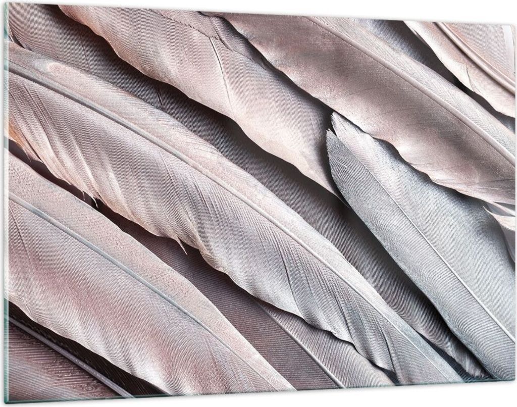 Bilder auf glas - Einteilig - Federn Flügel Feder - 120x80cm - Glasbilder - Wandbilder - Bilder - zum Aufhängen bereit - Wanddekoration aus Glas ...