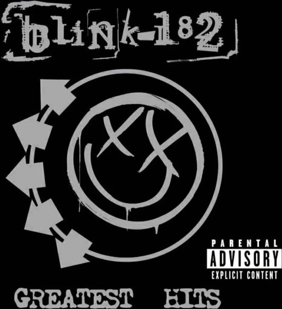 Blink-182 Greatest Hits Vinyle 2 LP Album Sans Saut De Lecture