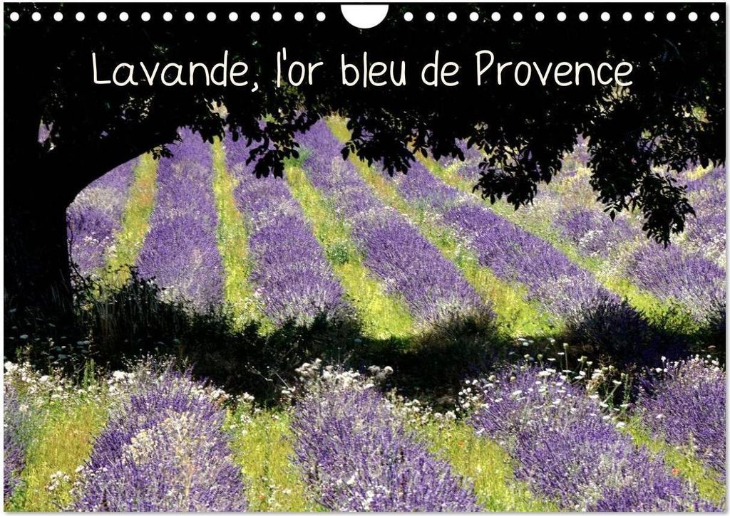 Lavande, l'or bleu de Provence (Calendrier mural 2026 DIN A4 vertical), CALVENDO calendrier mensuel