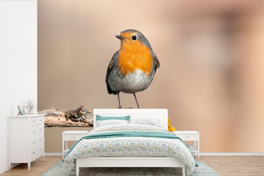 MuchoWow Fototapete für Wohnzimmer oder Schlafzimmer Wandtapete Vinyl Motivtapete Rotkehlchen - Vogel - Zweig - Tiere - 420x280 cm - Zimmer für...
