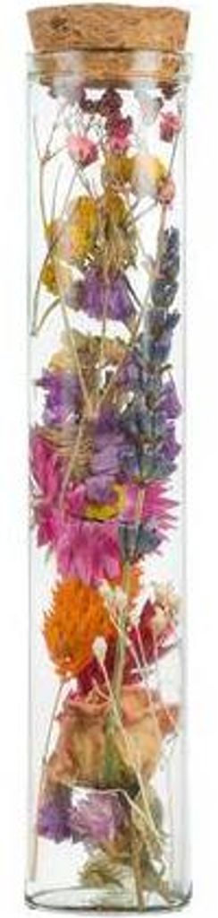 Getrocknete Blumen Wunschflasche Multi 6 Stück 15cm Glasflaschen Geschenkidee
