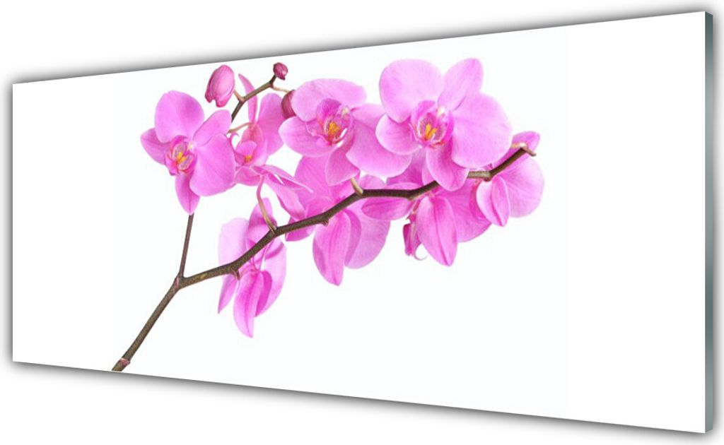 Küchenrückwand aus Glas 125x50cm Spritzschutz Blumen Pflanzen