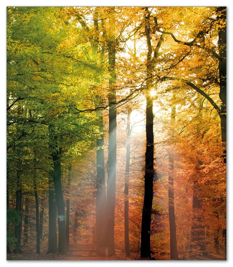 Wallario Herdabdeckplatte aus Glas, Größe 52 x 60 cm 1-teilig, Motiv Sonnenuntergang im Herbstwald