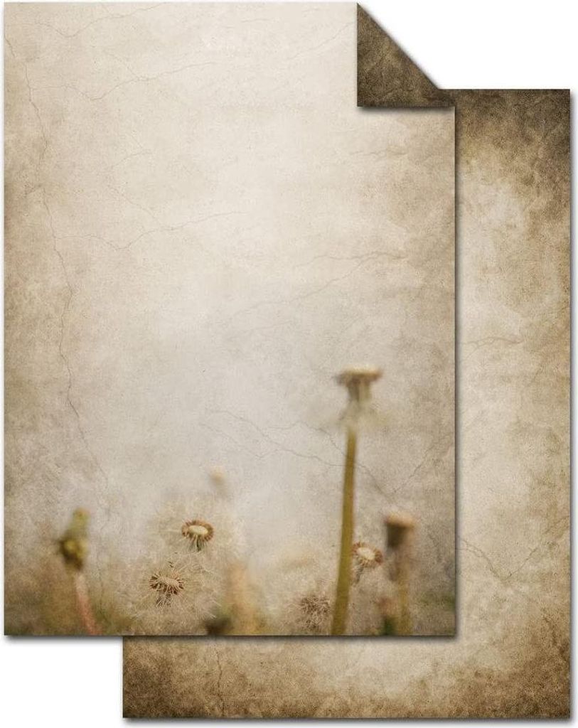100 Blatt Briefpapier VINTAGE PUSTEBLUME DIN A4 altes Papier braun beige natur Druckerpapier beidseitig bedruckt 100g Schreibpapier Motiv-Papier Br...