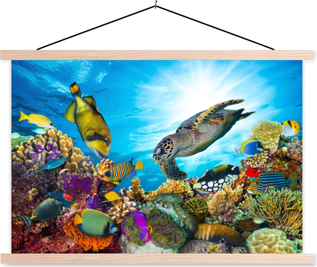 MuchoWow Textilposter Schildkröte - Meer - Koralle 60x40 cm mit holzfarbenen Rahmen - Bilder