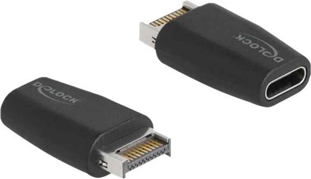 Convertitore Professionale Delock USB Type-E Maschio a USB-C Femmina