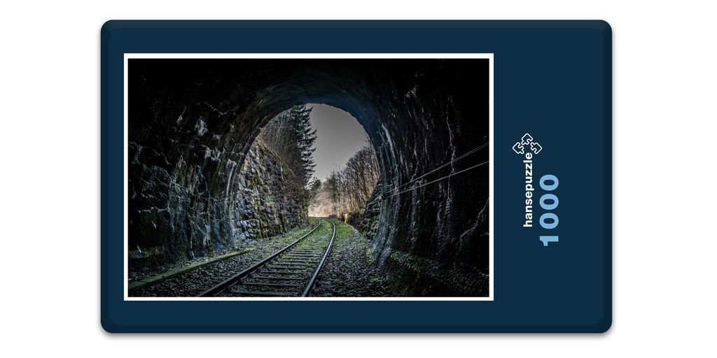 hansepuzzle 13738 - Eisenbahn Puzzle, 1000 Teile, Fortbewegung, 60,0 x 46,0cm mit hochwertiger Aufbewahrung, Kartonbox & Beutel