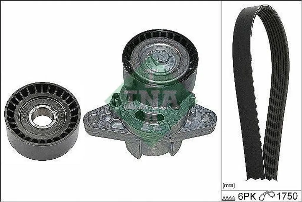INA 529 0164 10 Kit Cinghia Servizi OE 5000693140 per Renault Clio Scenic