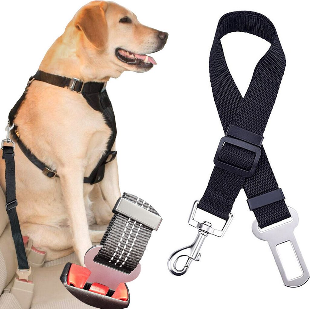 Cintura di sicurezza per auto per cani e gatti Immagine del prodotto 