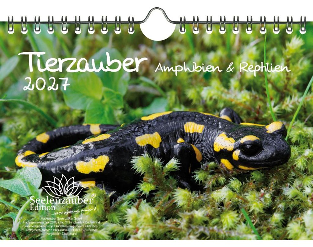 Tierzauber Amphibien und Reptilien DIN A5 Kalender für 2027 - Seelenzauber