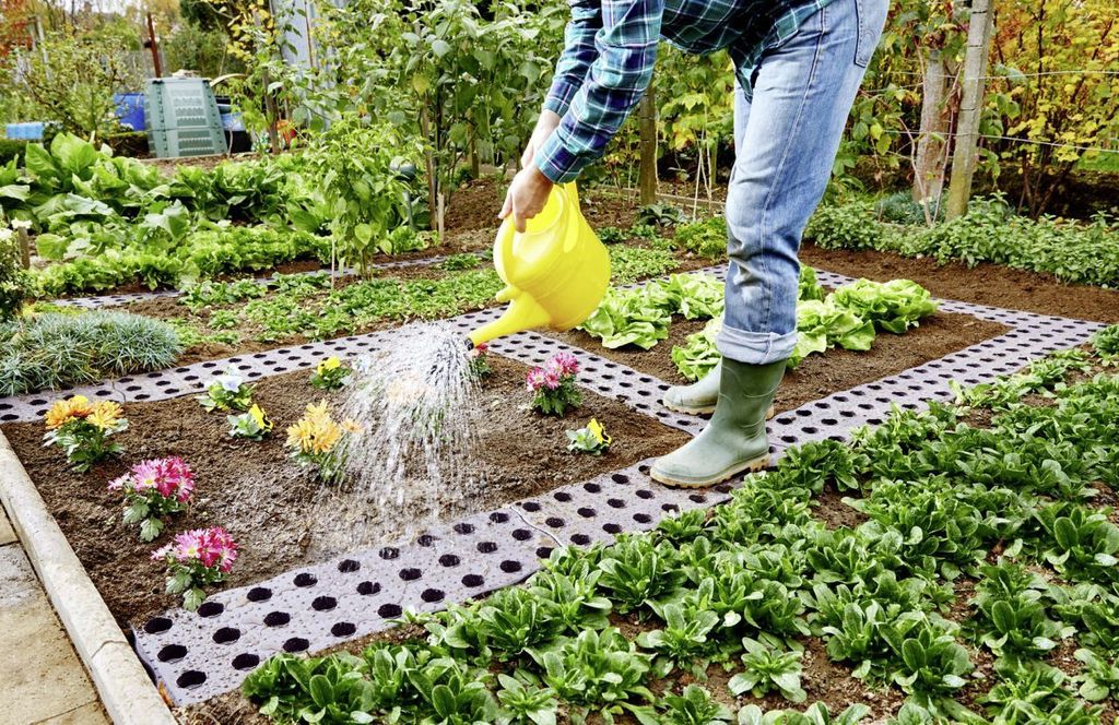 Garantia Beetplatte Maxi 70 x 24 cm Produktbild 12