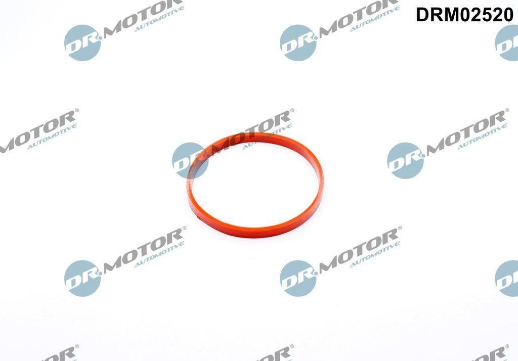DR.MOTOR AUTOMOTIVE Dichtung Drosselklappe Drosselklappendichtung DRM02520 für BMW 5 Touring (F11)