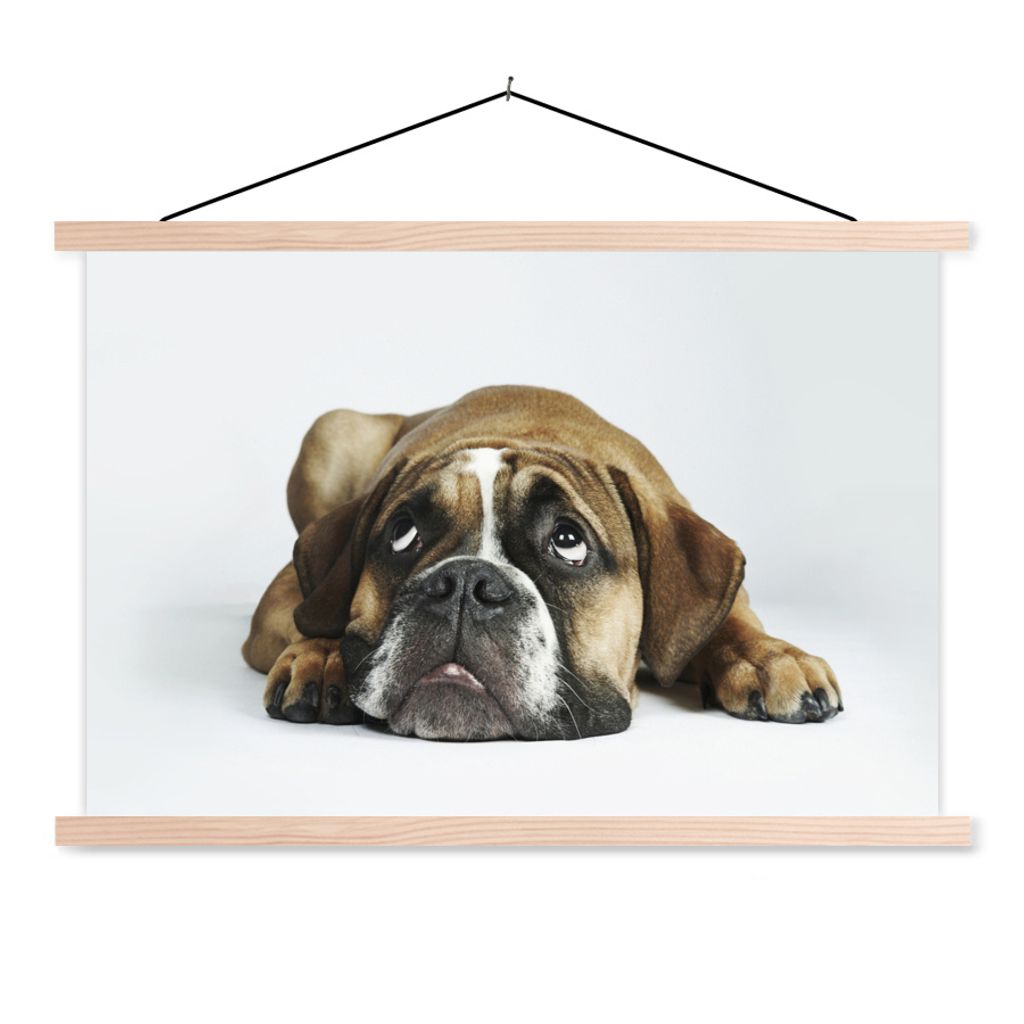 MuchoWow Textilposter Hund - Haustiere - Weiß 60x40 cm mit holzfarbenen Rahmen - Bilder