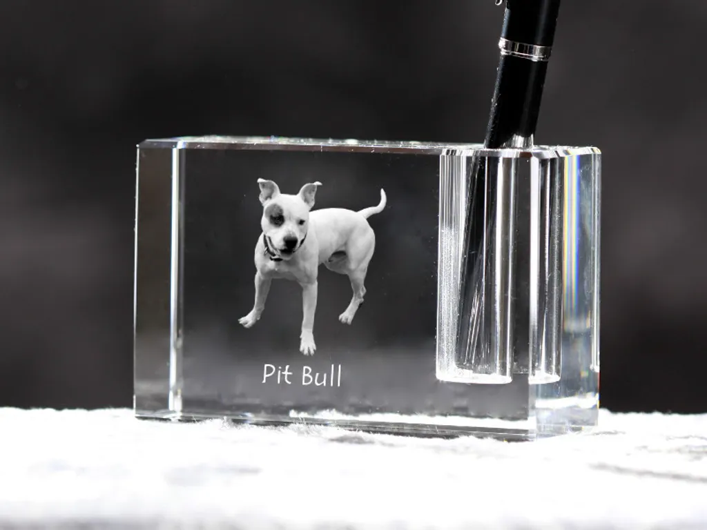 Décoration de table Pitbull, pot à crayons en cristal pour bureau