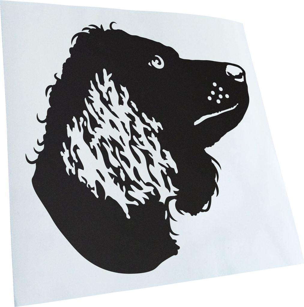 Kiwistar - Autoaufkleber - American Water Spaniel - Mattschwarz - 60x60cm - Aufkleber für Auto, Laptop, Fahrrad, LKW, Motorrad mehrfarbig JDM Deca...