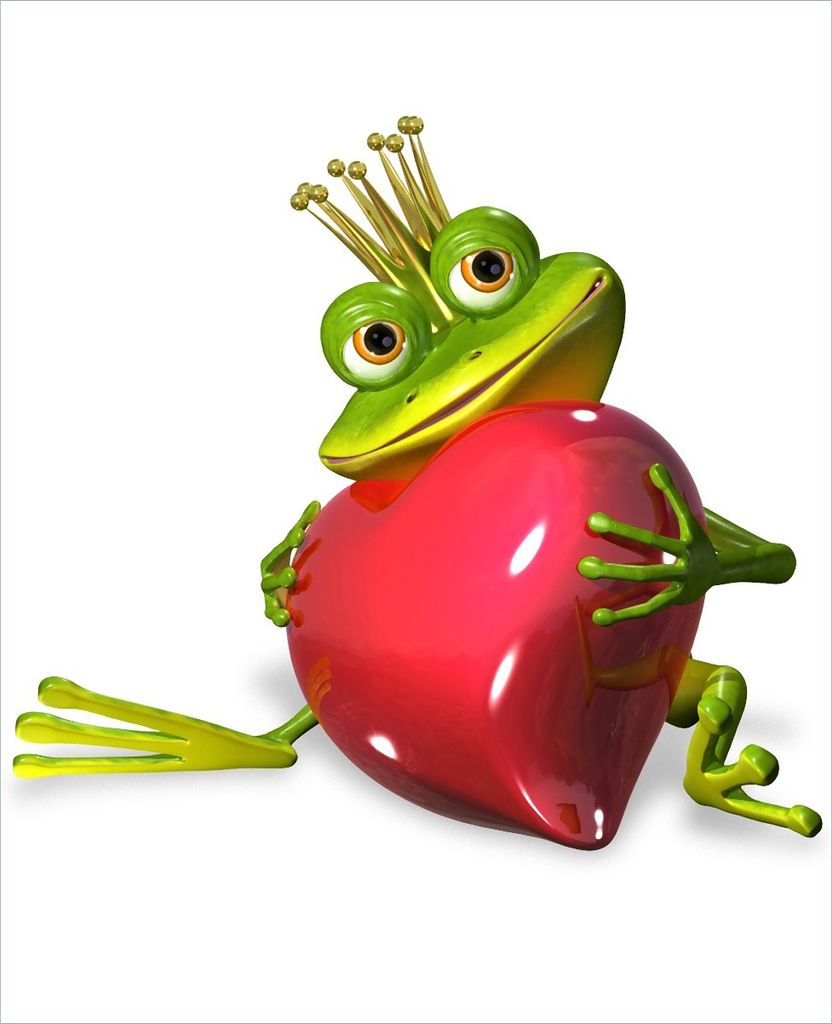 Wallario Sticker / Aufkleber für Kühlschrank / Geschirrspüler / Küchenschränke, selbstklebende Folie - 60 x 80 cm, Motiv: Verliebter Froschkö...