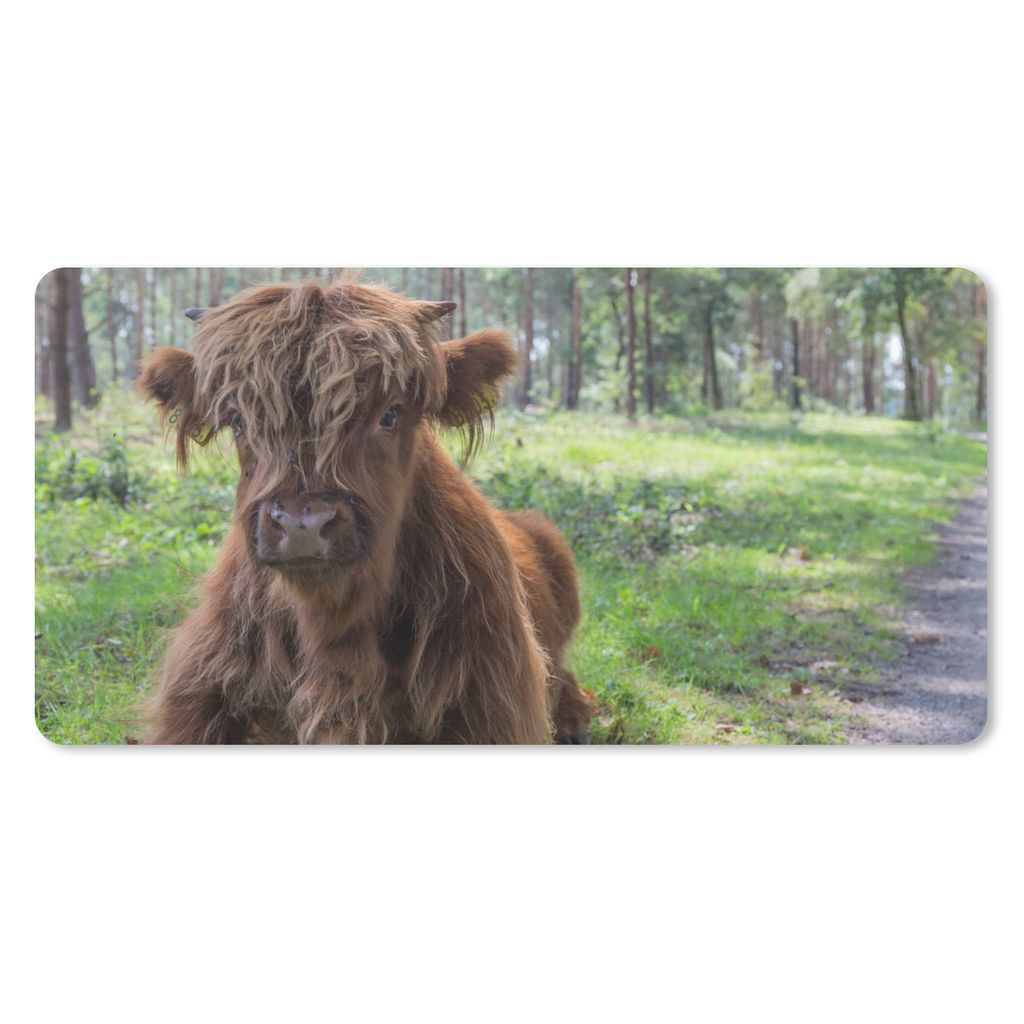 MuchoWow Mauspad Mousepad Schottischer Highlander - Kröte - Tiere 60x30 cm - Mousepads - Maus Mat - Pad - Mausunterlage - Nachhaltig
