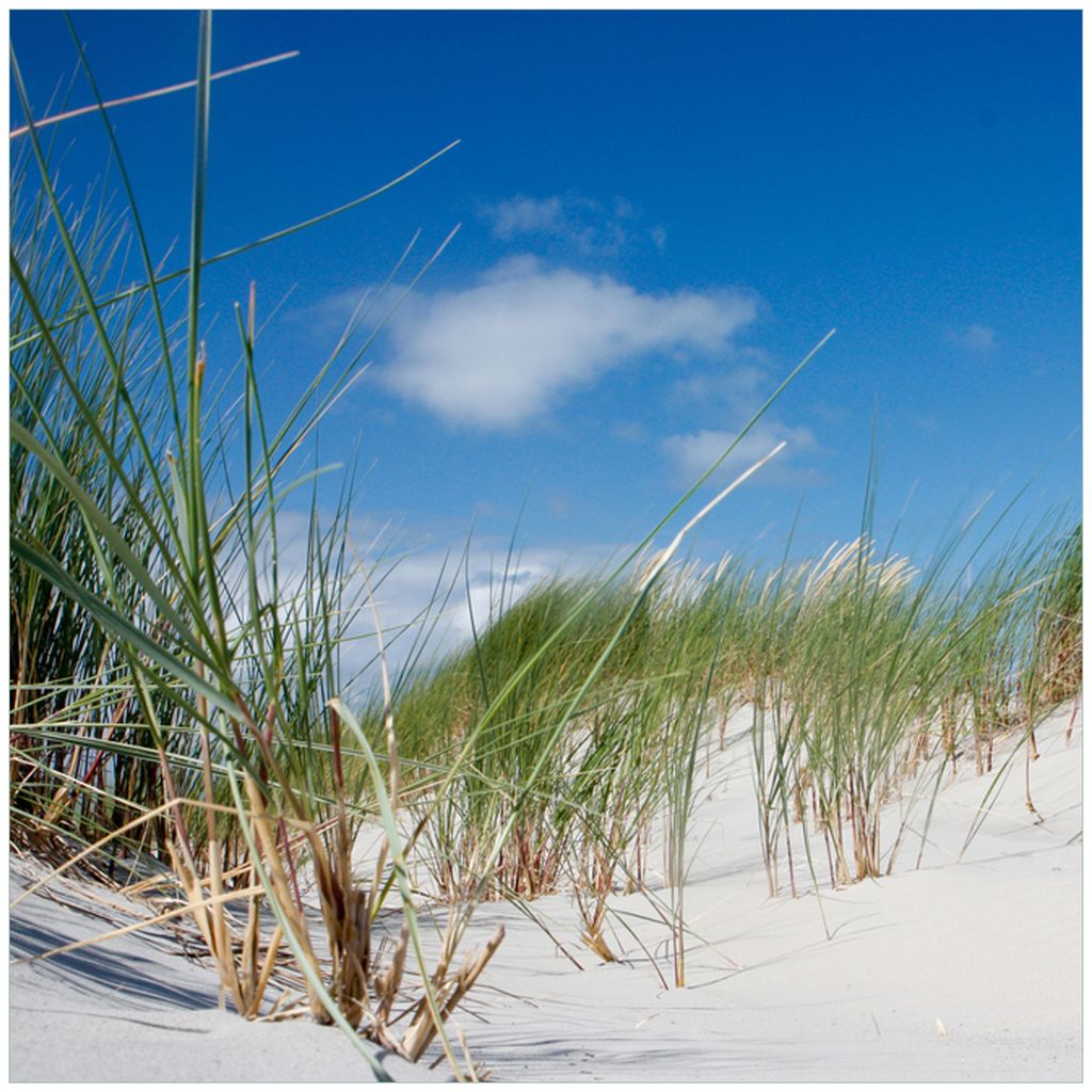 Wallario Möbeldesign / Aufkleber, geeignet für Ikea Lack Tisch - Düne am Strand unter blauem Himmel in 55 x 55 cm