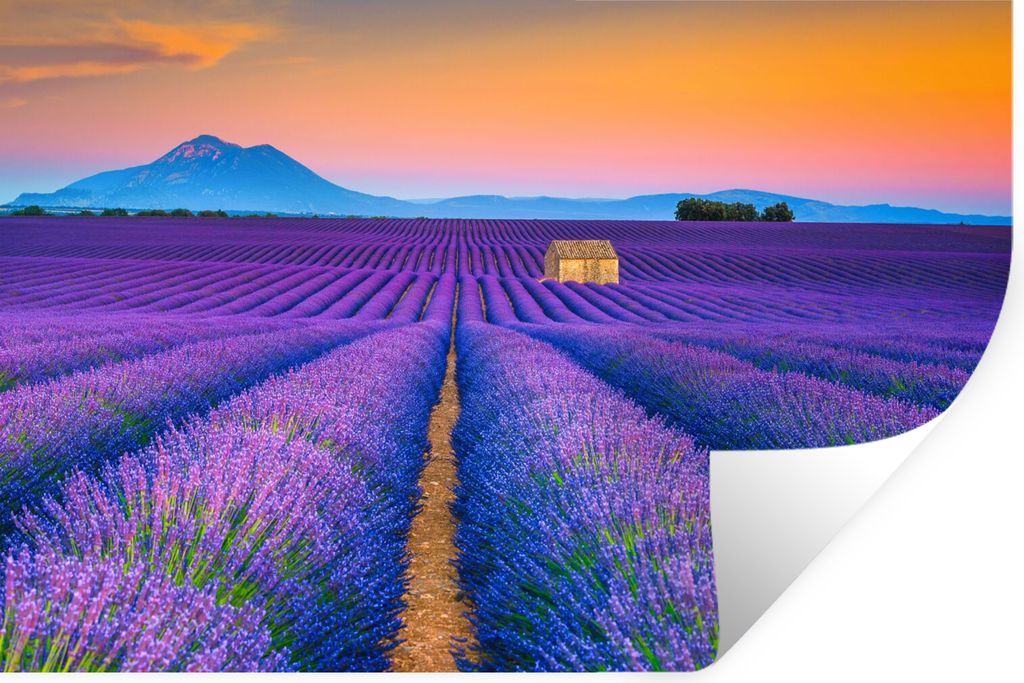 MuchoWow Wandtattoo Wandsticker Wandaufkleber Lavendel - Lila - Blumen 90x60 cm Selbstklebend und Repositionierbar - Aufkleber