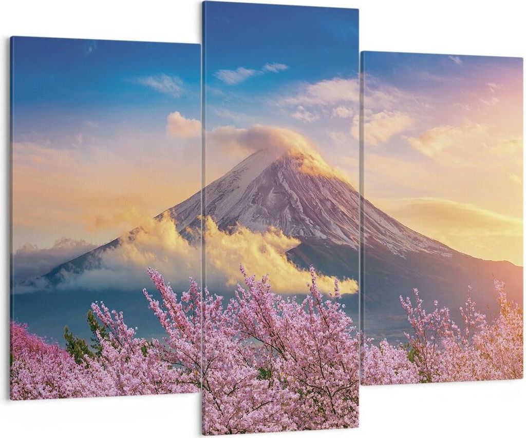 Bild auf Leinwand - Leinwandbild - 3 Teile - Fuji Blume Produktbild 