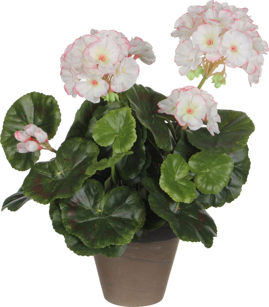 Mica Decorations Geranien Kunstpflanze im Blumentopf Stan - H34 x Ø20 cm - Weiß, Rosa