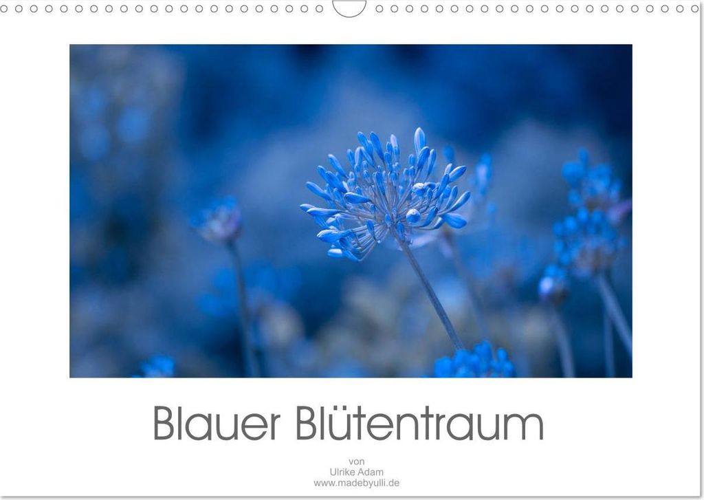 Blauer Blütentraum (Wandkalender 2027 DIN A3 quer), CALVENDO Monatskalender