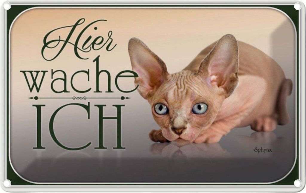 vianmo Blechschild 20x30 cm Katze Sphynx hier wache ich Tier Haustier