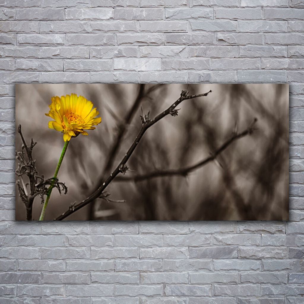 Glasbilder 120x60 Wandbild Druck auf Glas Zweig Blume Pflanzen