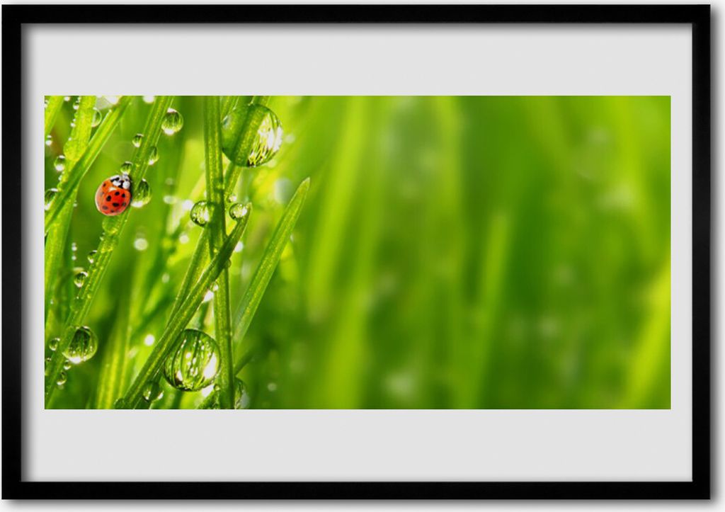 Bild 70x50 MDF-Rahmen Wandkunst Gras Marienkäfer Natur