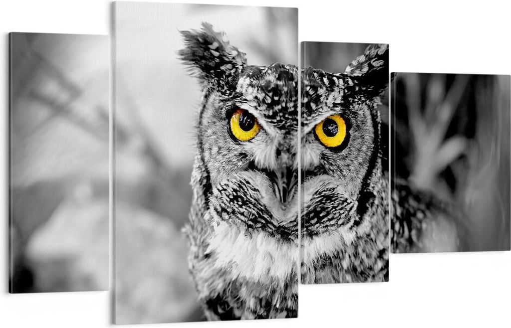 Bild auf Leinwand - Leinwandbild - Eule Vogel Natur - Produktbild 