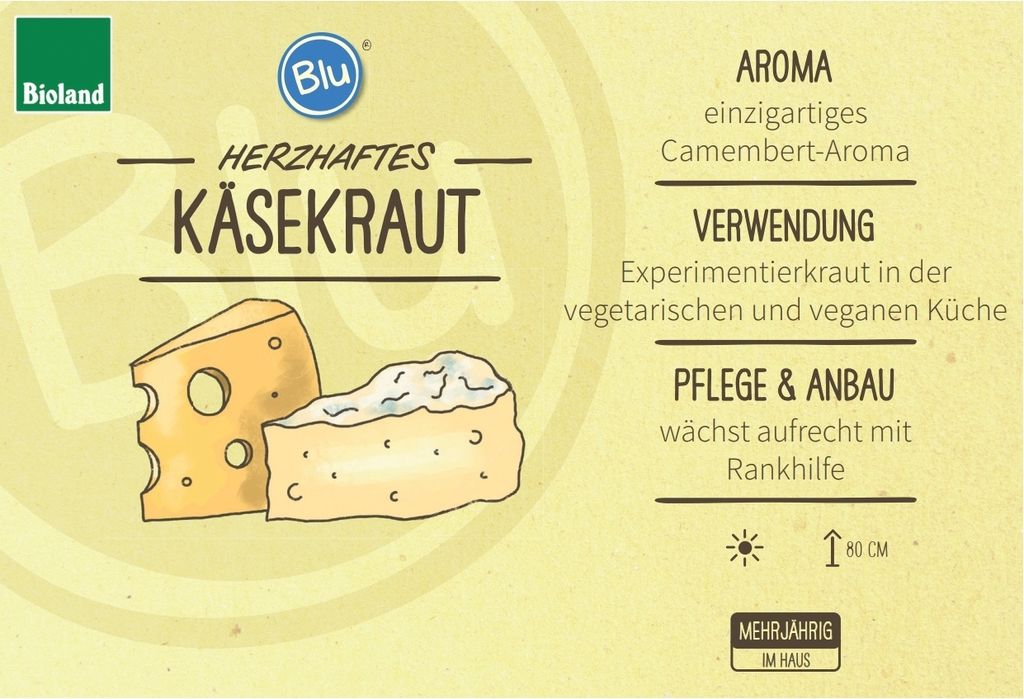 Erba da formaggio biologica - Paederia lanuginosa - pianta Immagine del prodotto 