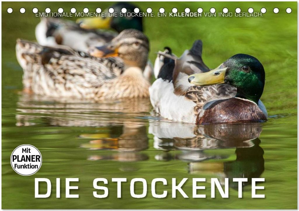 Emotionale Momente: Die Stockente. (Tischkalender 2026 DIN A5 quer), CALVENDO Monatskalender