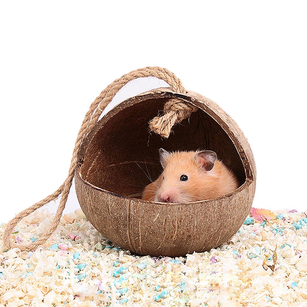 Versteckhaus Aus Kokosnussschalen Für Hamster, Einsiedlerkrebse, Reptilien, Igel, Meerschweinchen, Natürliche Lebensraumkäfigdekoration