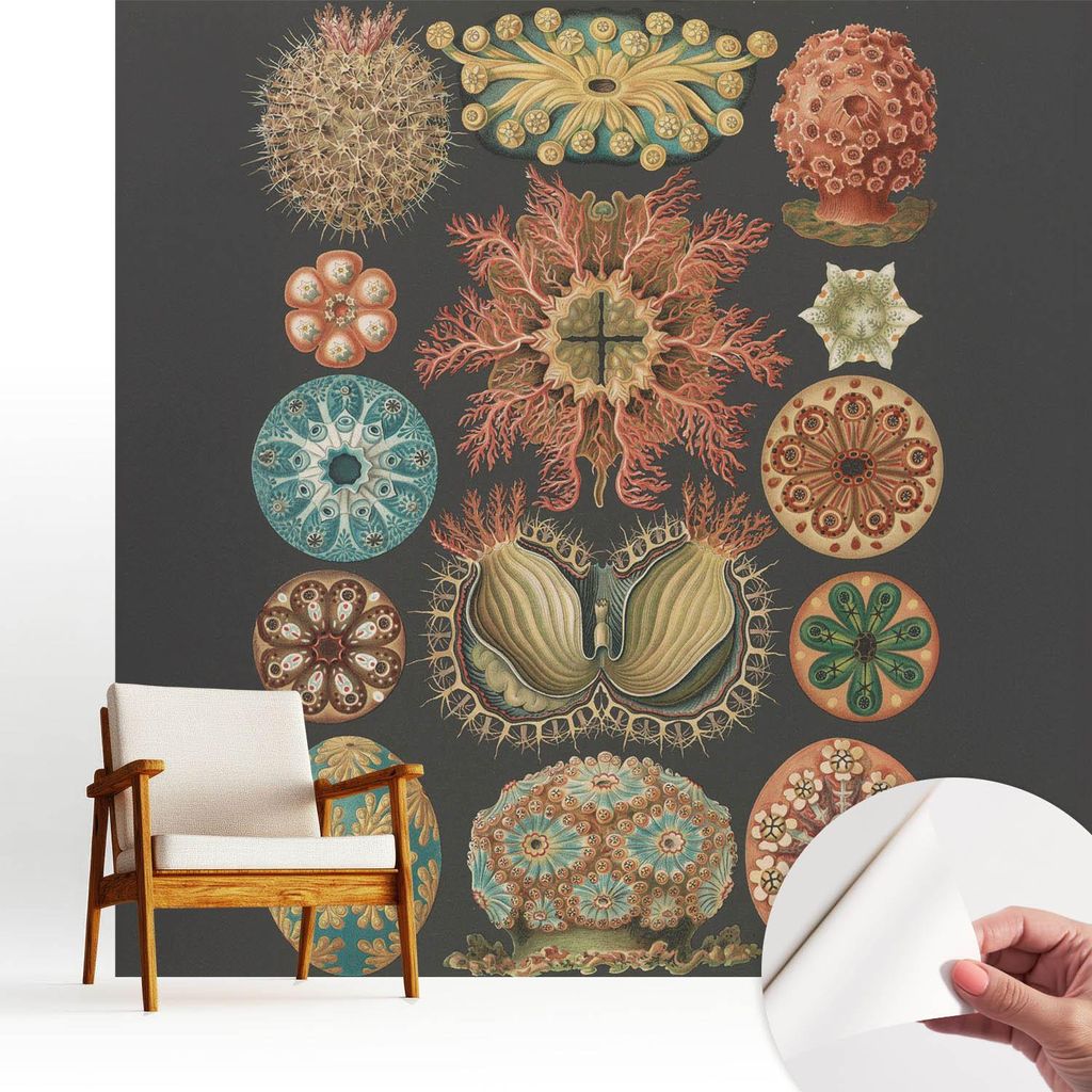 Fototapete selbstklebend - 250x250 cm - Tapete - Wandtapete - Wandbilder - Klebefolie - Dekofolie - Tapete Folie - Wand - Dekoration - Wohnzimmer -...