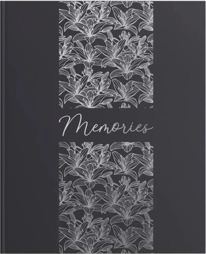 Exacompta Livre d'or 100 pages tranche argent Titane Noir réf 47093E
