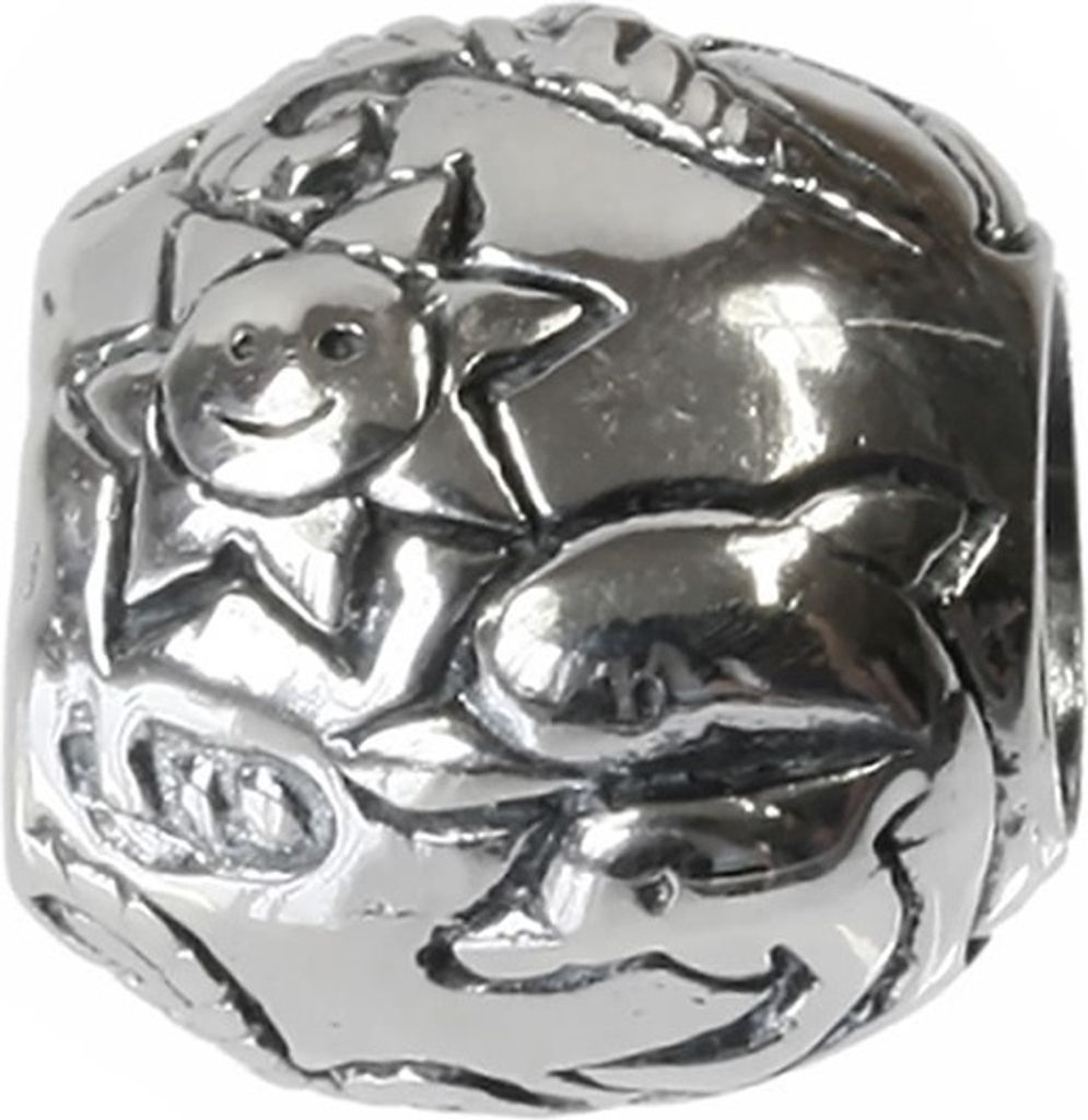 CarloBiagi Charm Bead Delphin Ball 925 Echt Silber Schmuck Element D2BBS181